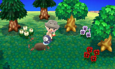 Animal Crossing: New Leaf