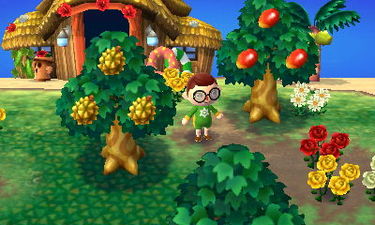 Animal Crossing: New Leaf