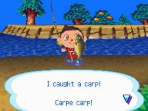Animal Crossing: Wild World