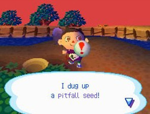Animal Crossing: Wild World