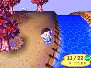 Animal Crossing: Wild World