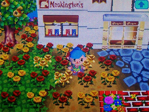 Animal Crossing: Wild World
