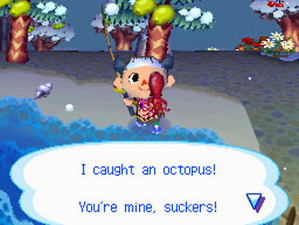 Animal Crossing: Wild World