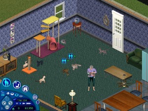 The Sims