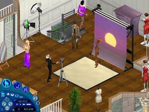 The Sims