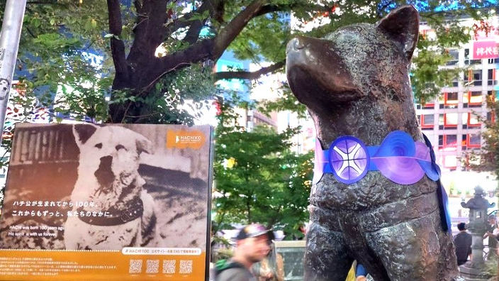 Buon compleanno, Hachiko: l'omaggio per i cento anni del cane simbolo di fedeltà
