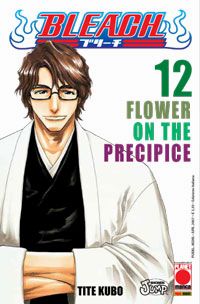 Bleach Bleach