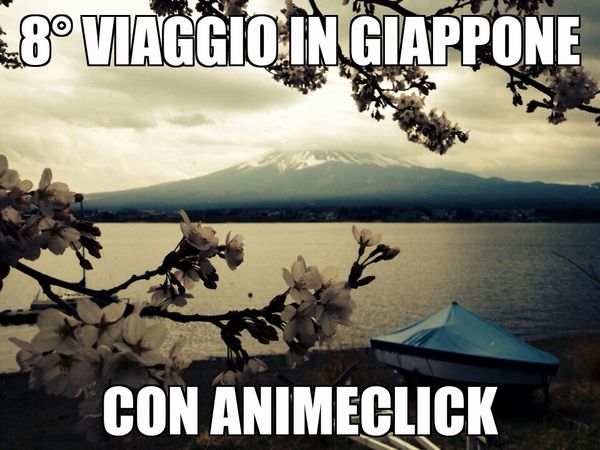 8.jpg 8.jpg