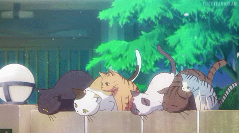 Sakurasou no Pet na Kanojo - gatti Sakurasou no Pet na Kanojo - gatti