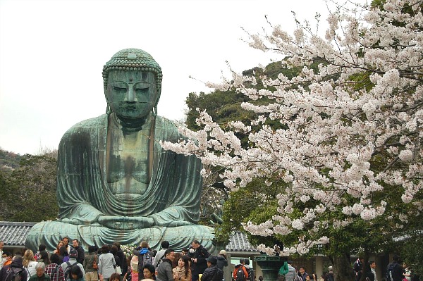Kamakura Kamakura