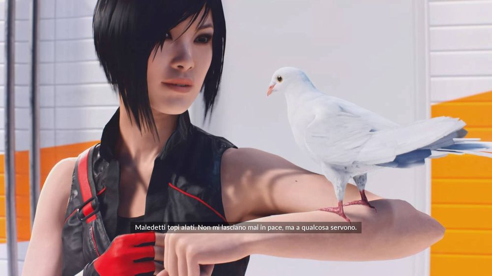 MIRROR'S EDGE CATALYST - Recensione PlayStation 4 13391597_1044269245654879_717830695365507165_o.jpg