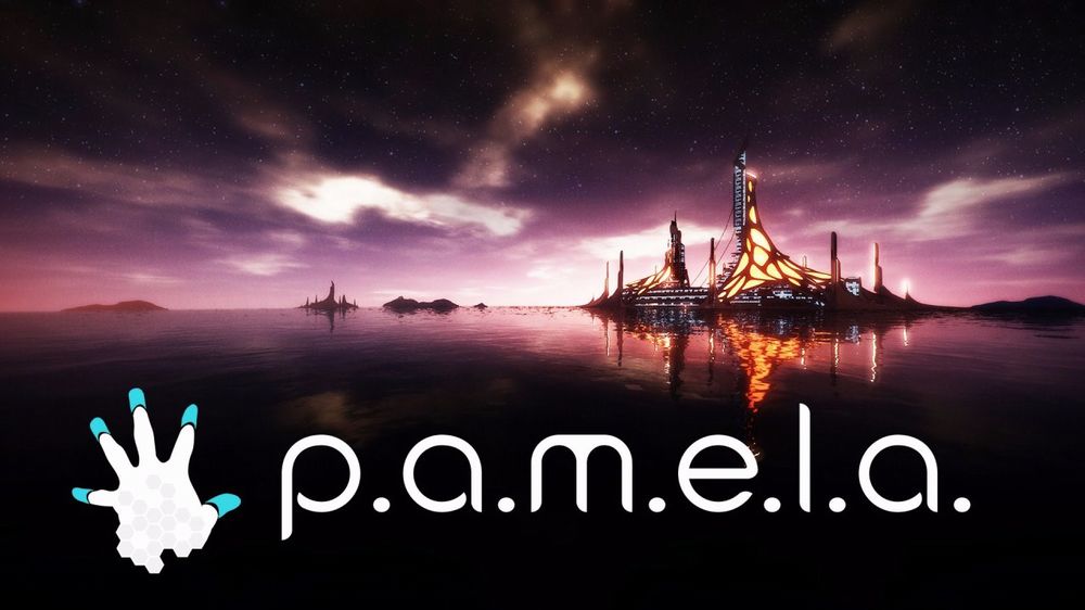 PAMELA.jpg PAMELA.jpg
