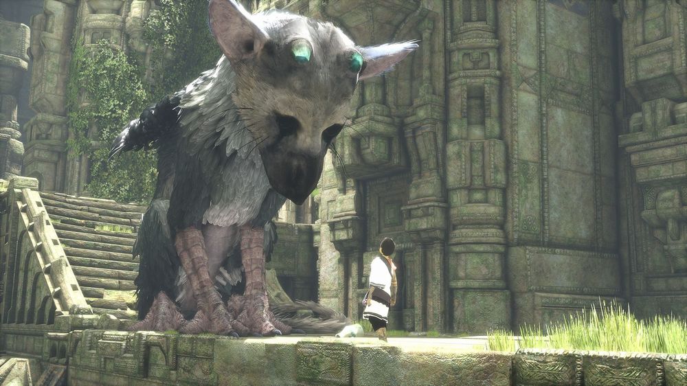 The Last Guardian non deluderà TLG_E315_06_1434429409.jpg