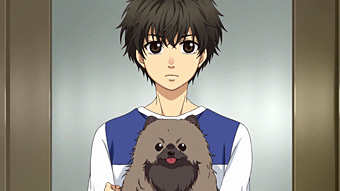 Super Lovers 8