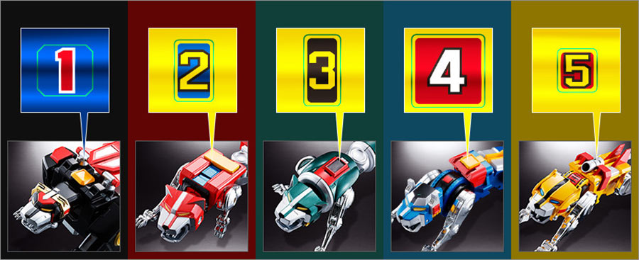 Decalcs per i 5 leoni Decalcs per i 5 leoni