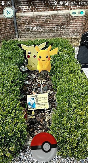 Il Pikachu sulla tomba del piccolo Michael, in Olanda