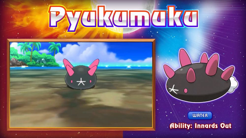 pyukumuku.jpg pyukumuku.jpg