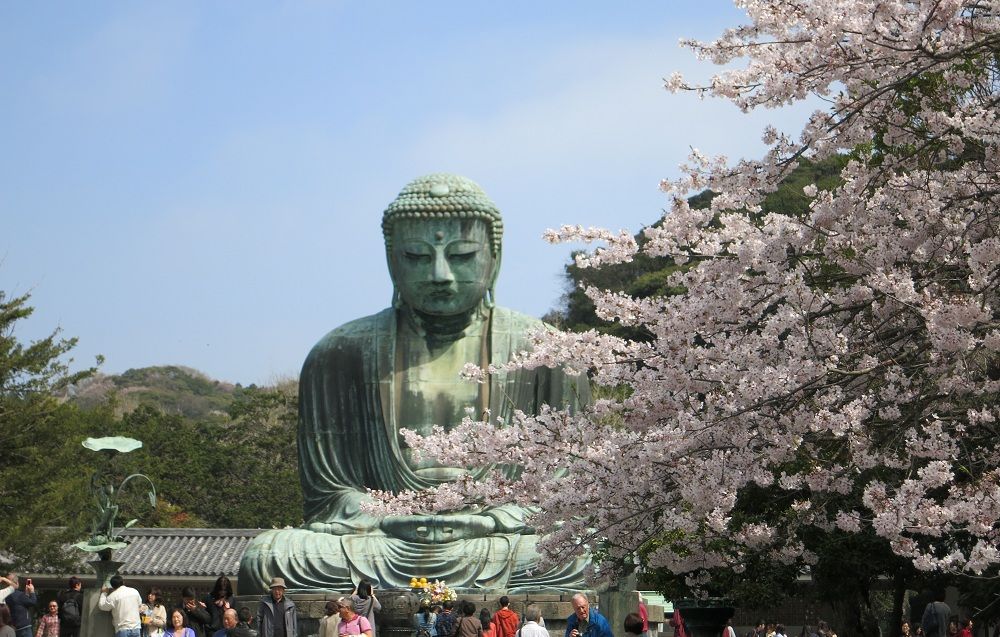 grande-buddha-hase-viaggio-hanami-2015.JPG