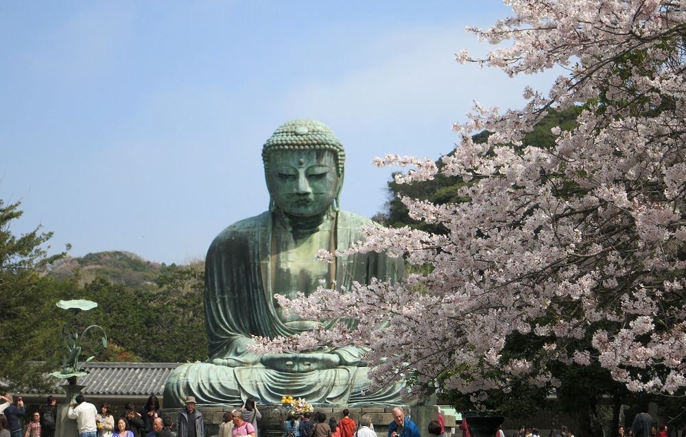 grande-buddha-hase-viaggio-hanami-2015.JPG grande-buddha-hase-viaggio-hanami-2015.JPG
