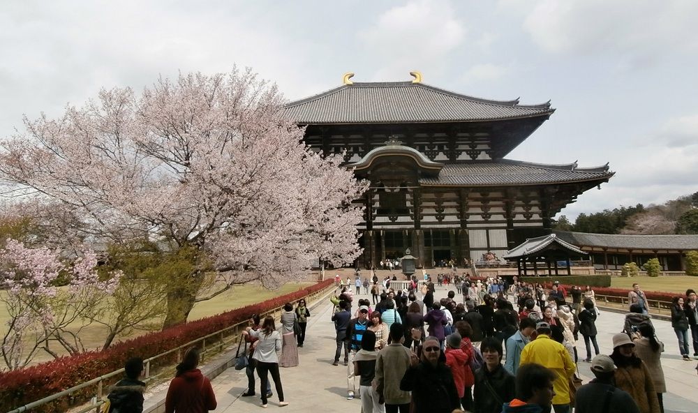 todaiji-nara-viaggio-hanami-2014.jpg todaiji-nara-viaggio-hanami-2014.jpg