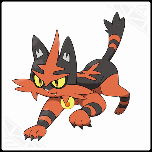 torracat.png torracat.png