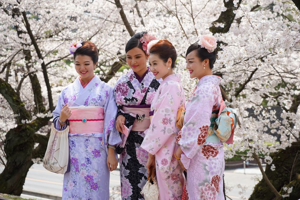 hanami_2017 hanami_2017