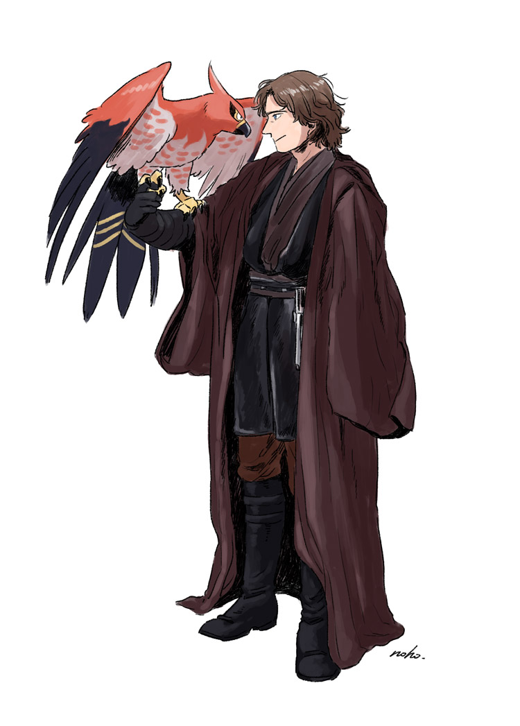 Anakin e il Pokémon Talonflame sarebbero una grande squadra