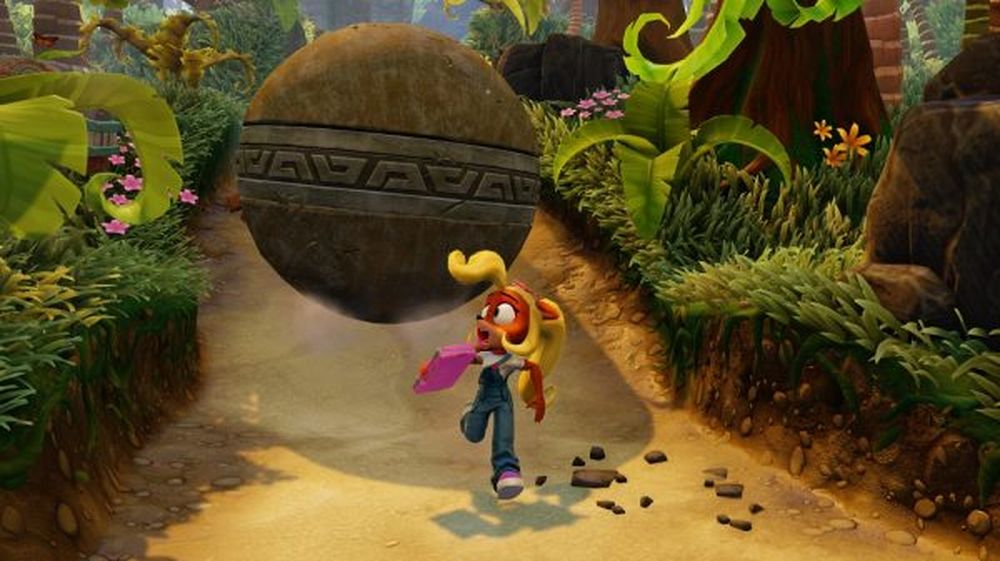 Coco-Crash.jpg Coco-Crash.jpg