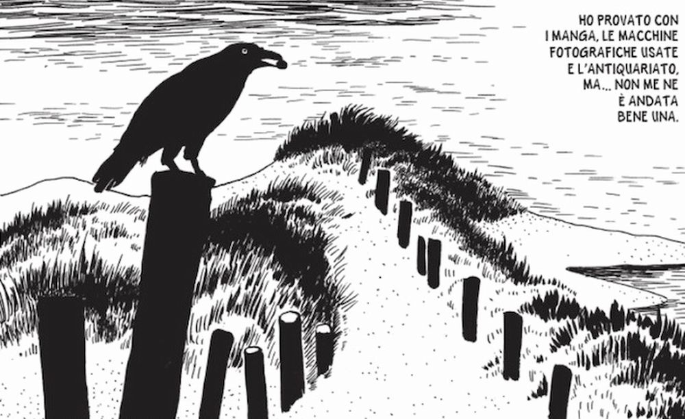 Tsuge3.jpg Tsuge3.jpg