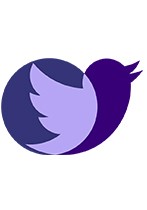 Seguici su Twitter