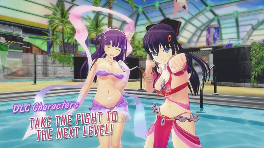 SenranKagura_Valkyrie.jpg