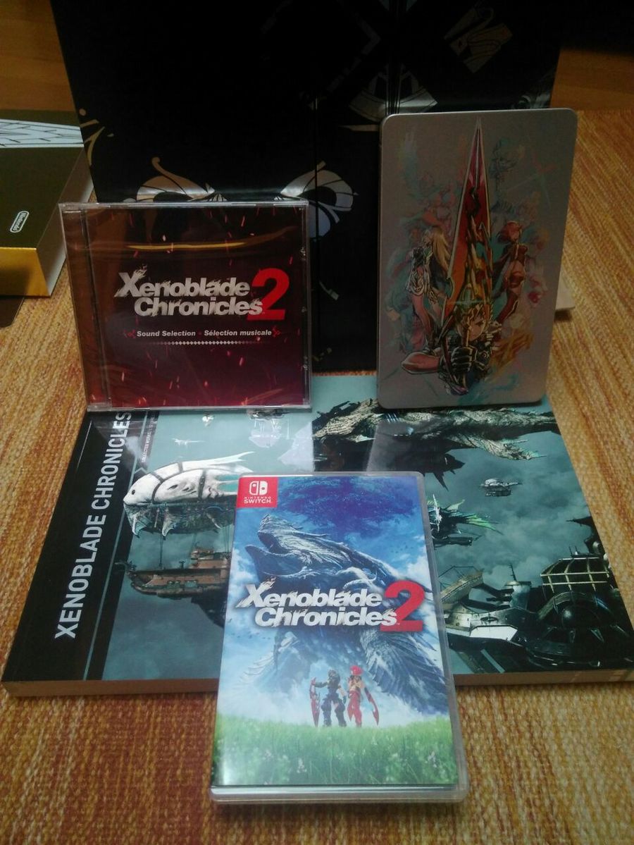 Xenoblade Chronicles 2 Collector's Edition - Unboxing e analisi dell'edizione photo5839148523453524824.jpg