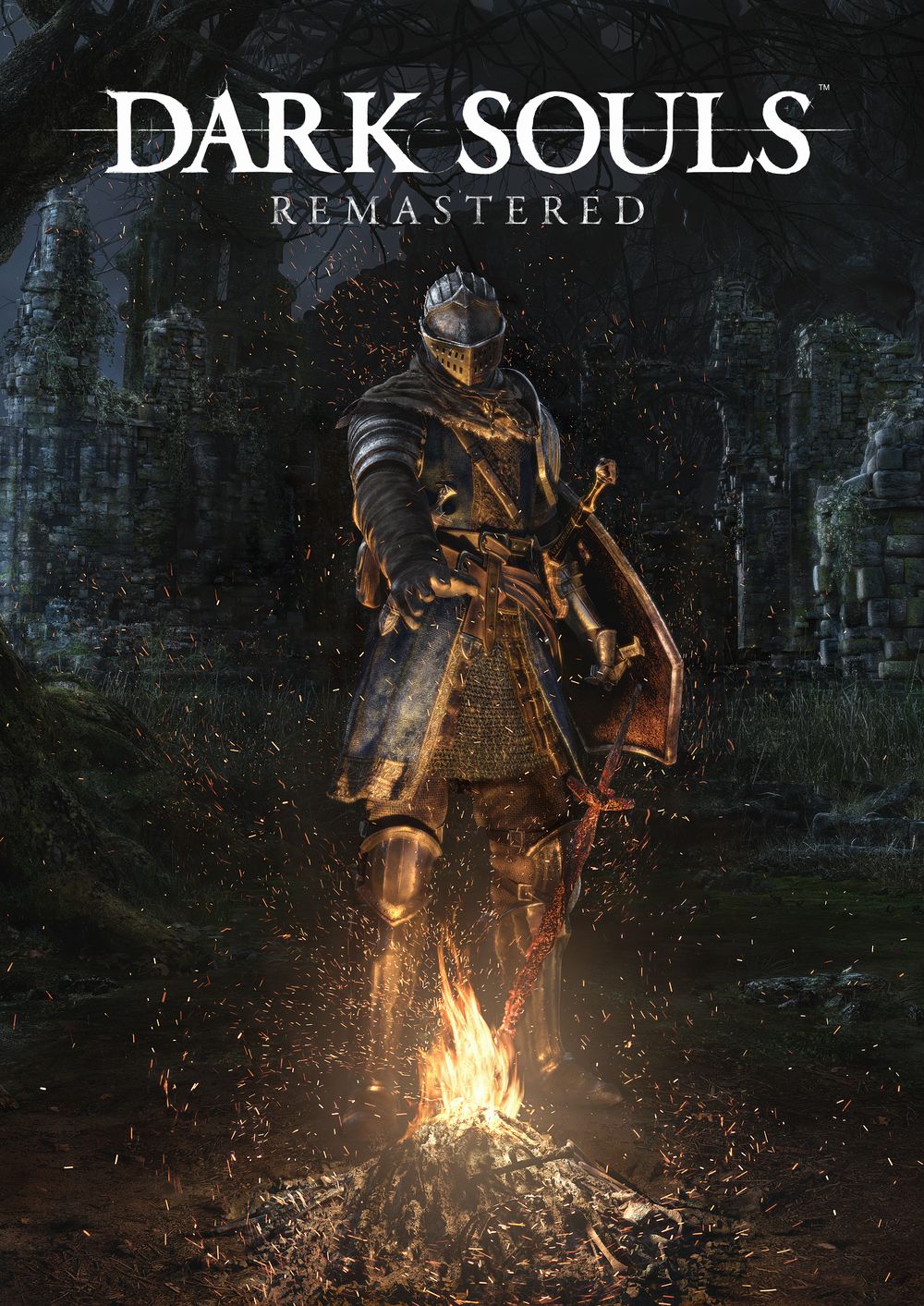 Annunciato ufficialmente Dark Souls Remastered FHD_Poster_RGB_with_logo_1515666012.jpg