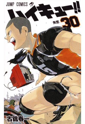 Haikyuu 30