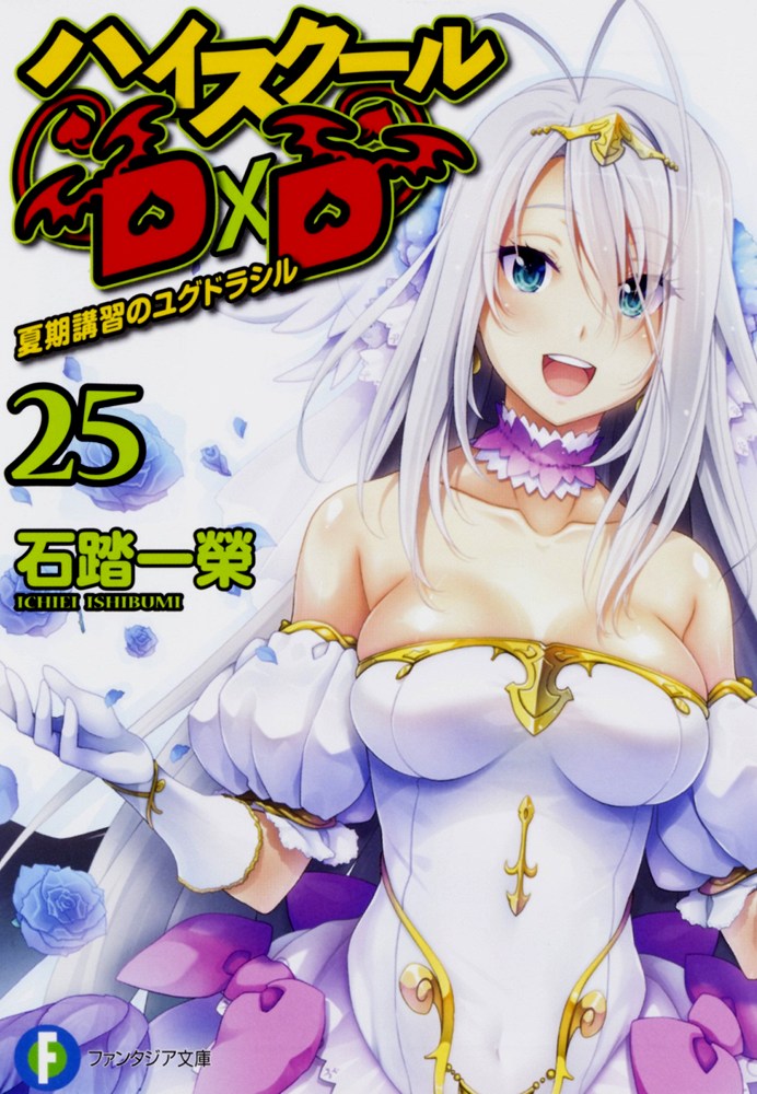 High School DXD 25