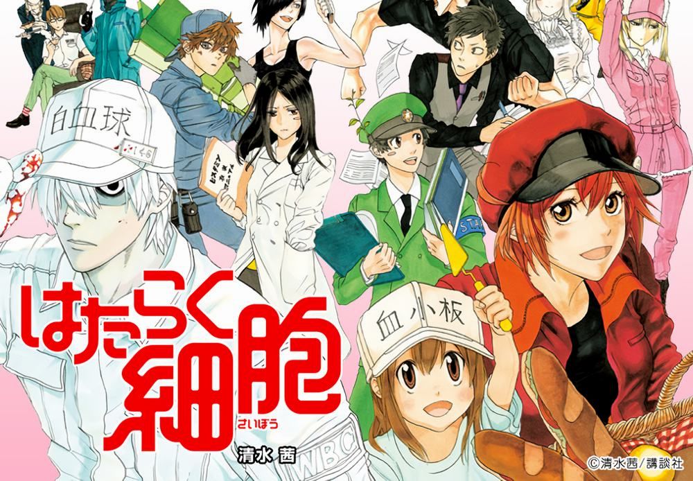 Cells at Work Cells at Work
