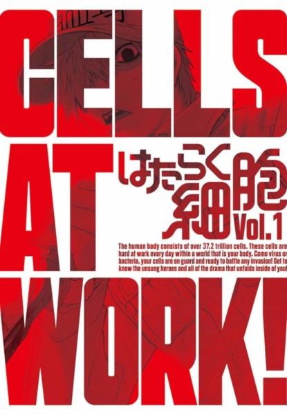 Cells at Work!