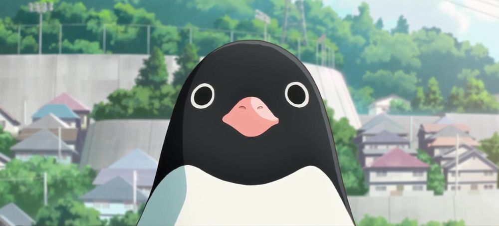 Penguin_Highway-pinguino.jpg Penguin_Highway-pinguino.jpg