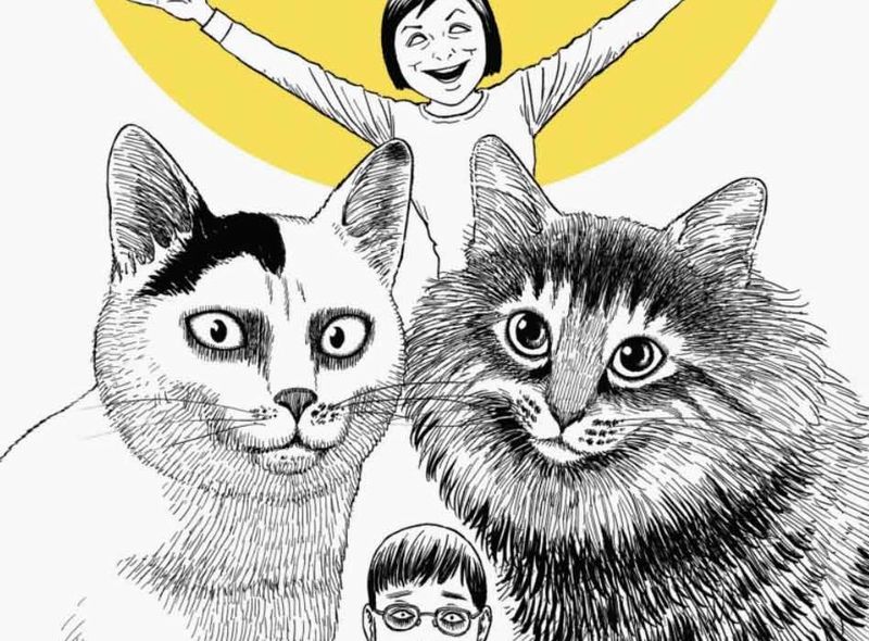 junji-ito-cat-diary-cover.jpg junji-ito-cat-diary-cover.jpg