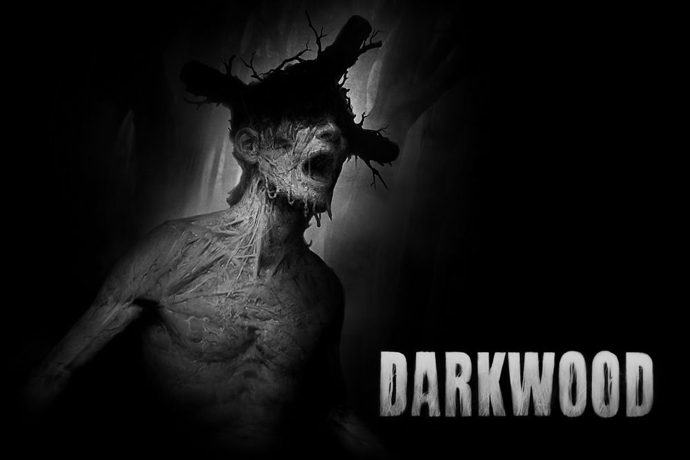 NintendoSwitch_Darkwood_KeyArt_1.jpg
