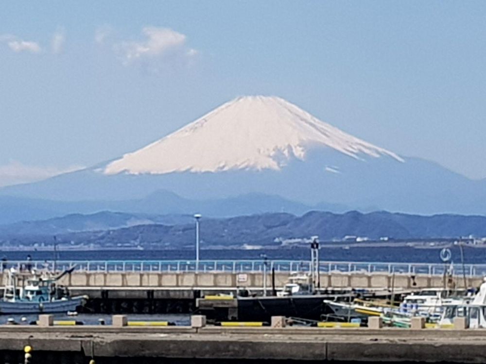 ViaggioAC Hanami2019 ViaggioAC Hanami2019