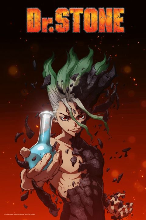 Dr. Stone dr stone.jpg