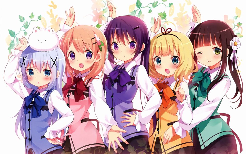 Is the order a rabbit? Is the order a rabbit?