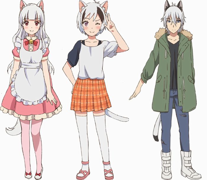 È stato rivelato il cast dell'anime tratto dalla serie Tama and Freinds, in uscita nel 2020 È stato rivelato il cast dell'anime tratto dalla serie Tama and Freinds, in uscita nel 2020