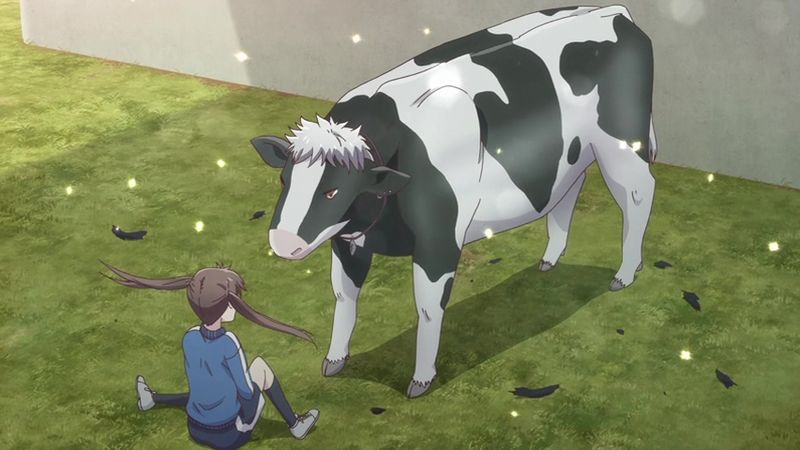 mucca mucca