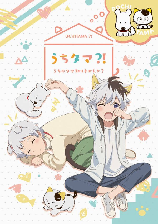 Un nuovo anime tratto dalla serie Tama and Friends è previsto per il 2020 Un nuovo anime tratto dalla serie Tama and Friends è previsto per il 2020