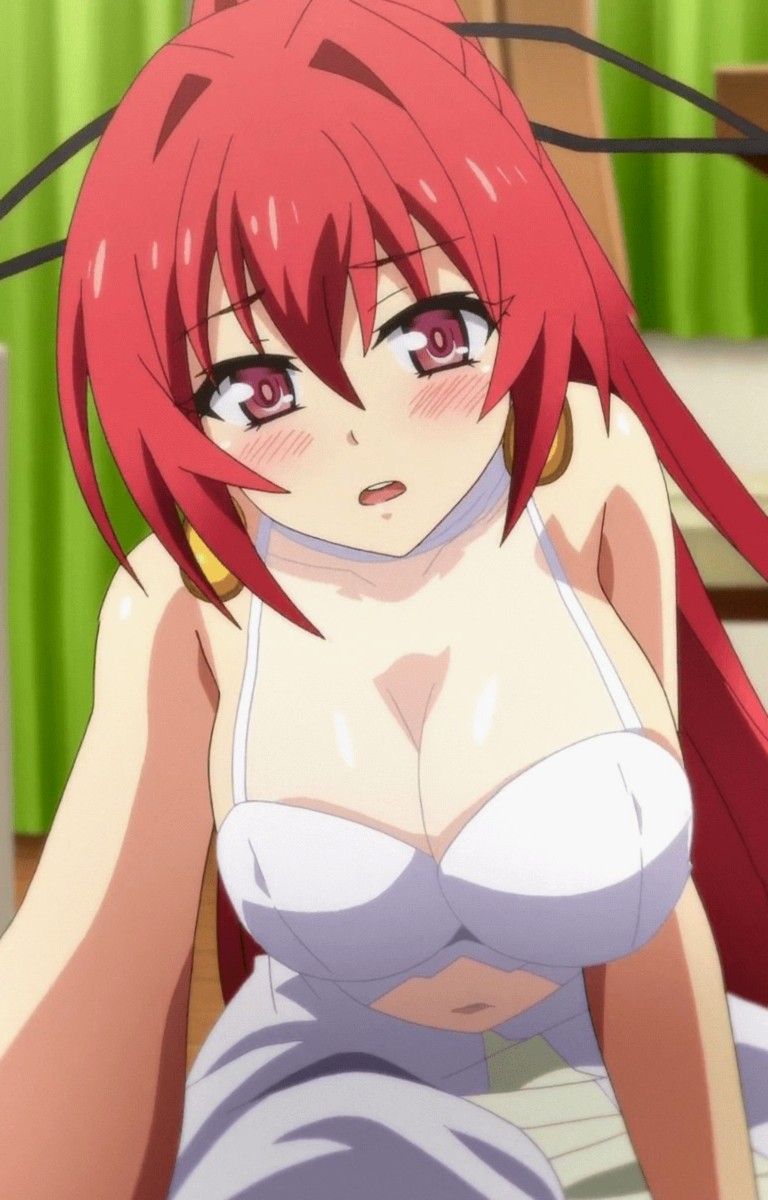 Shinmai Maou No Testament Gelbooru