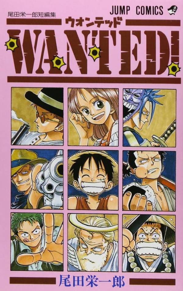 one piece wanted