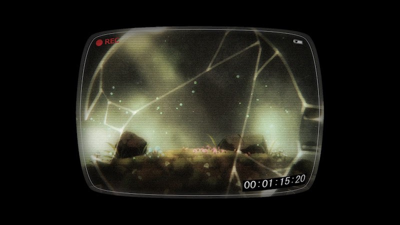 void Terrarium void Terrarium
