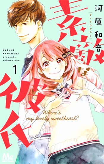 Suteki na Kareshi Suteki na Kareshi